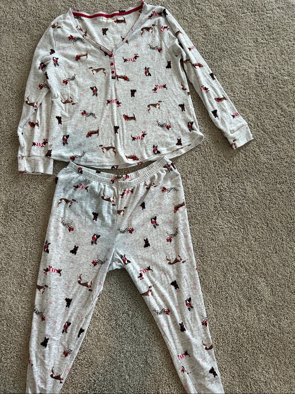 Womans Light Gray Dog Print Long-Sleeve pajama set